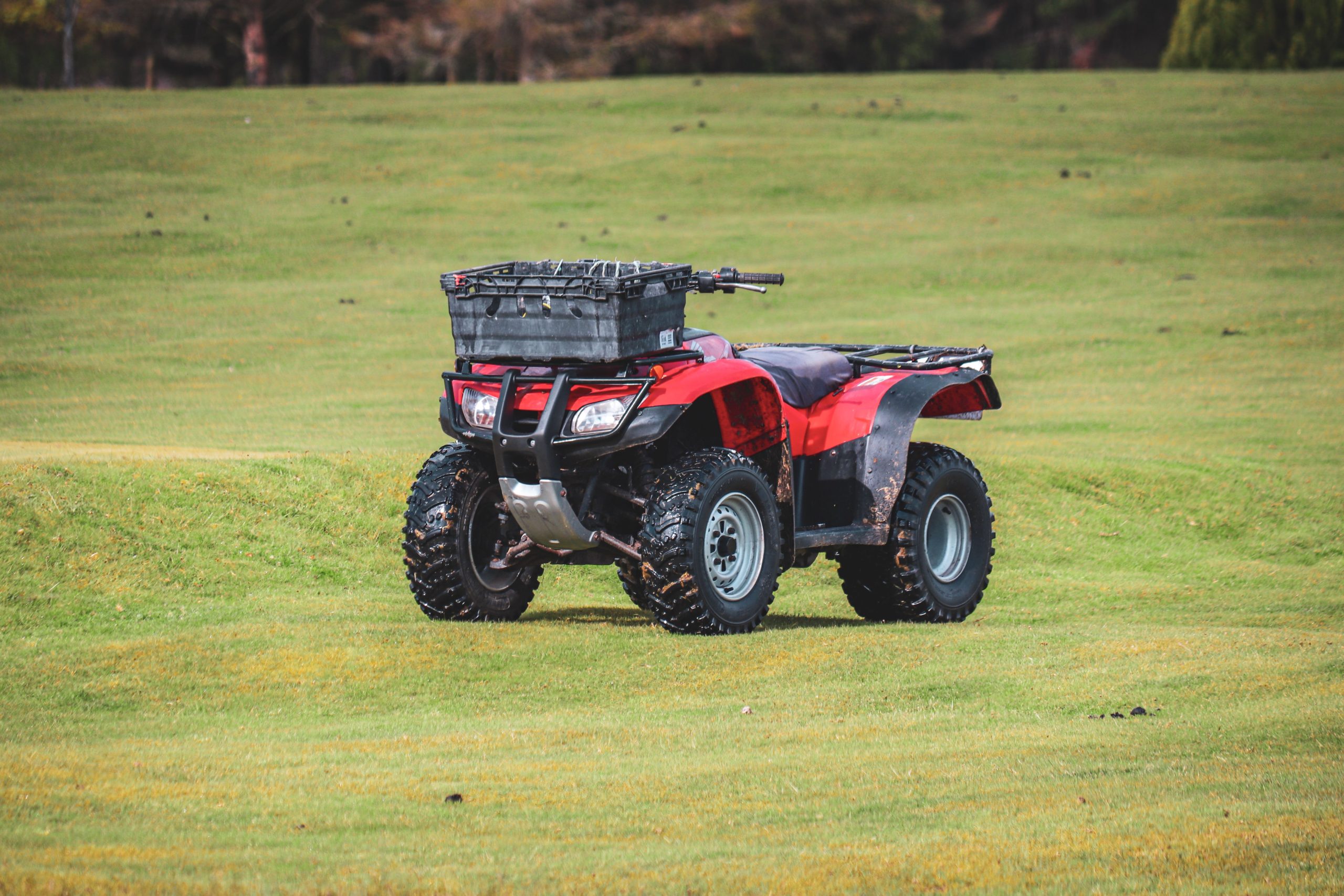 Quad rouge garé dans un champ verdoyant à la campagne