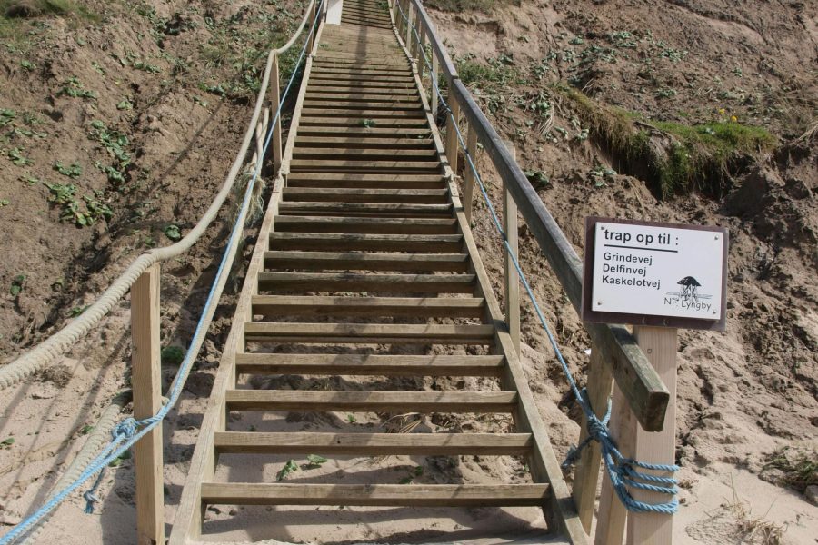 Combien de temps dure vraiment une corde escalier ?