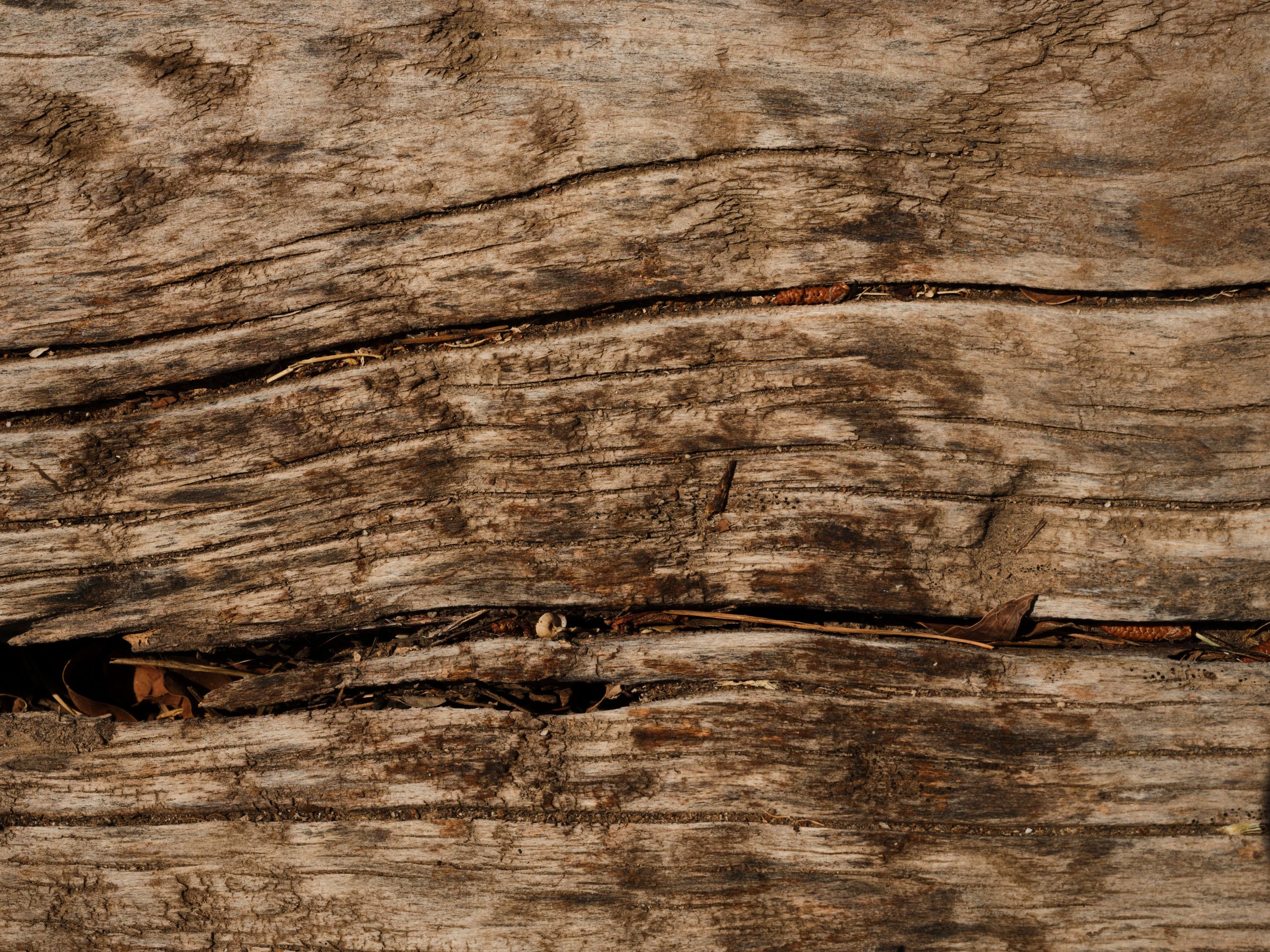 Surface en bois rustique usé avec fissures naturelles