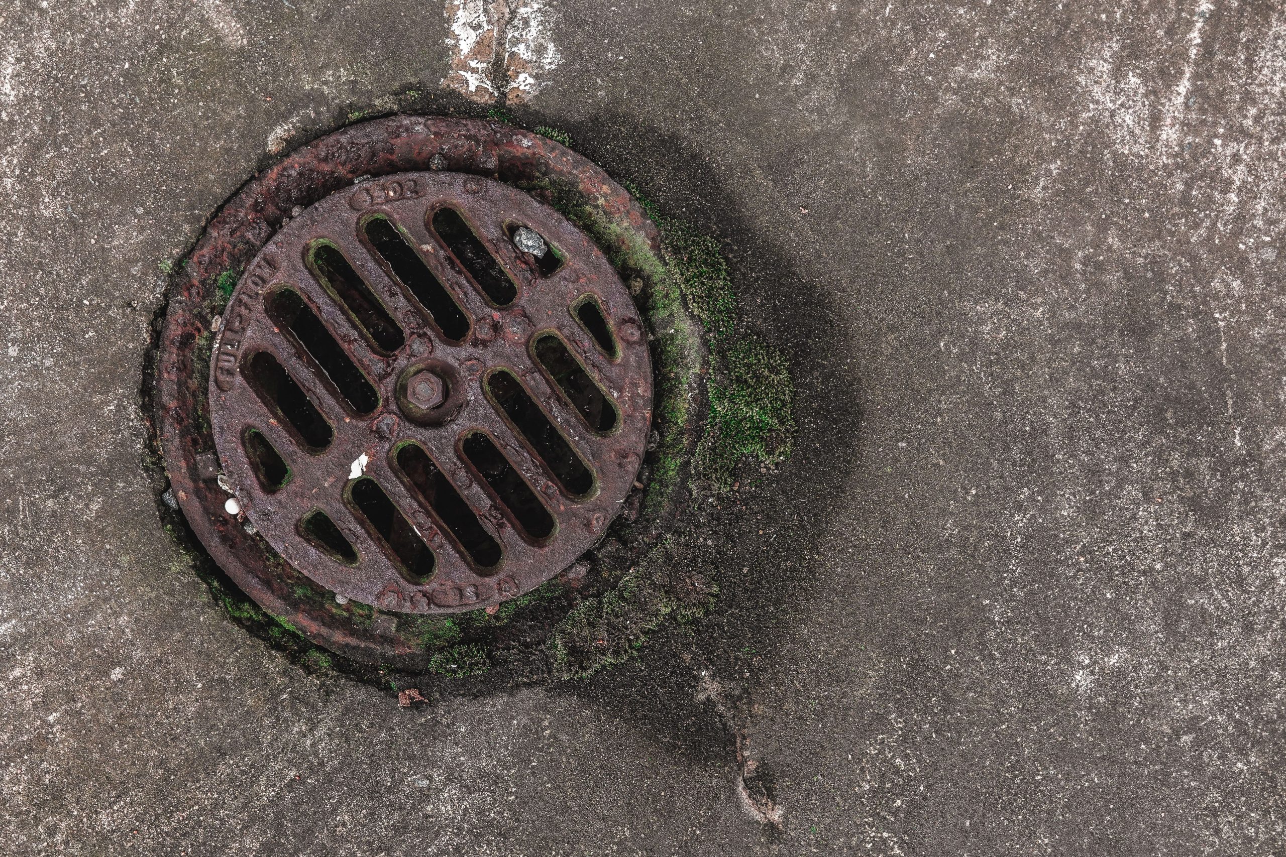 Grille de drain rouillée couverte de mousse