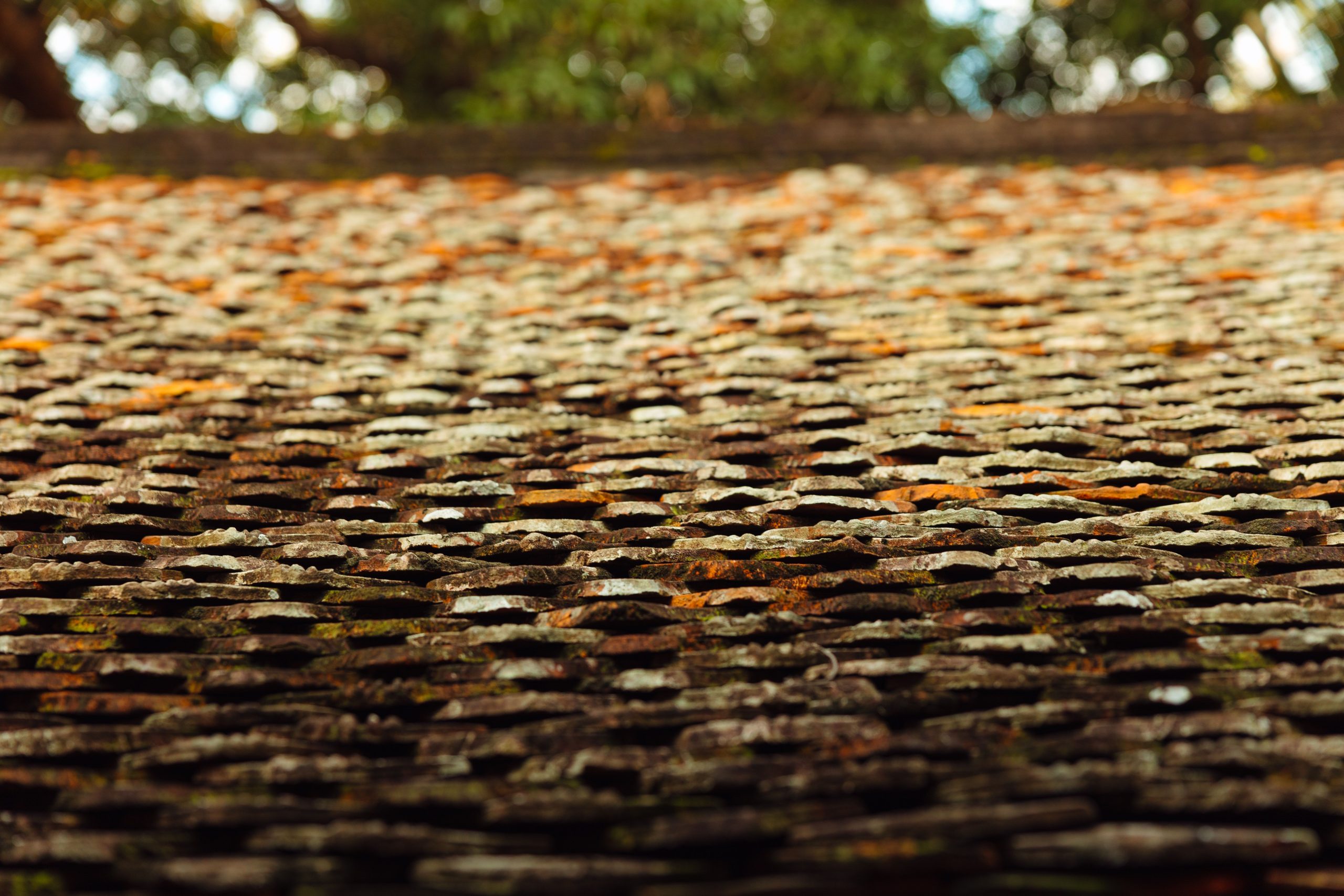 Toit de tuiles anciennes couvert de lichen